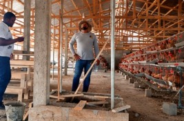Workers on a farm infrastructure site